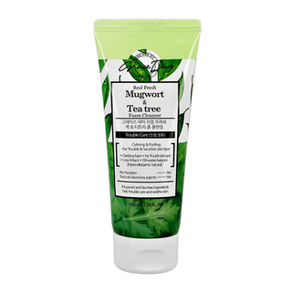 Пенка для умывания с экстрактами полыни и чайного дерева GRACE DAY Real Fresh Mugwort&Tea Tree Foam Cleanser 100 мл