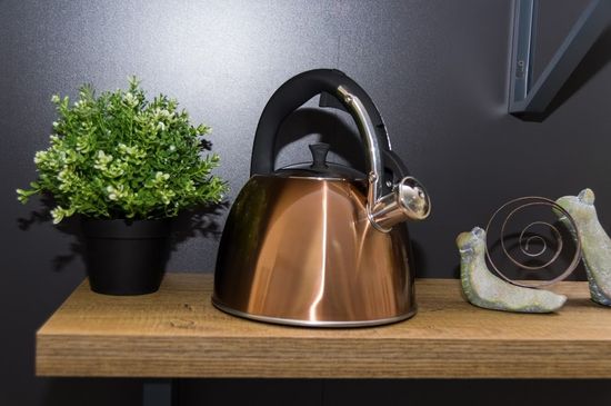 Чайник 3 л. из нержавеющей стали со свисткомKamille KM 0697 (бронзовый) и черной бакелитовой ручкой
