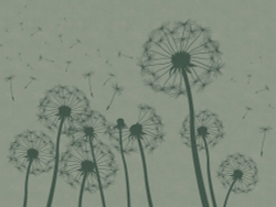 Коллекция Flower dreams 2