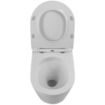 Унитаз BelBagno Flay-Tor BB053CH-TOR-FC подвесной без сиденья
