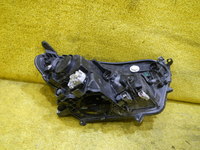 DSCN7826.JPG