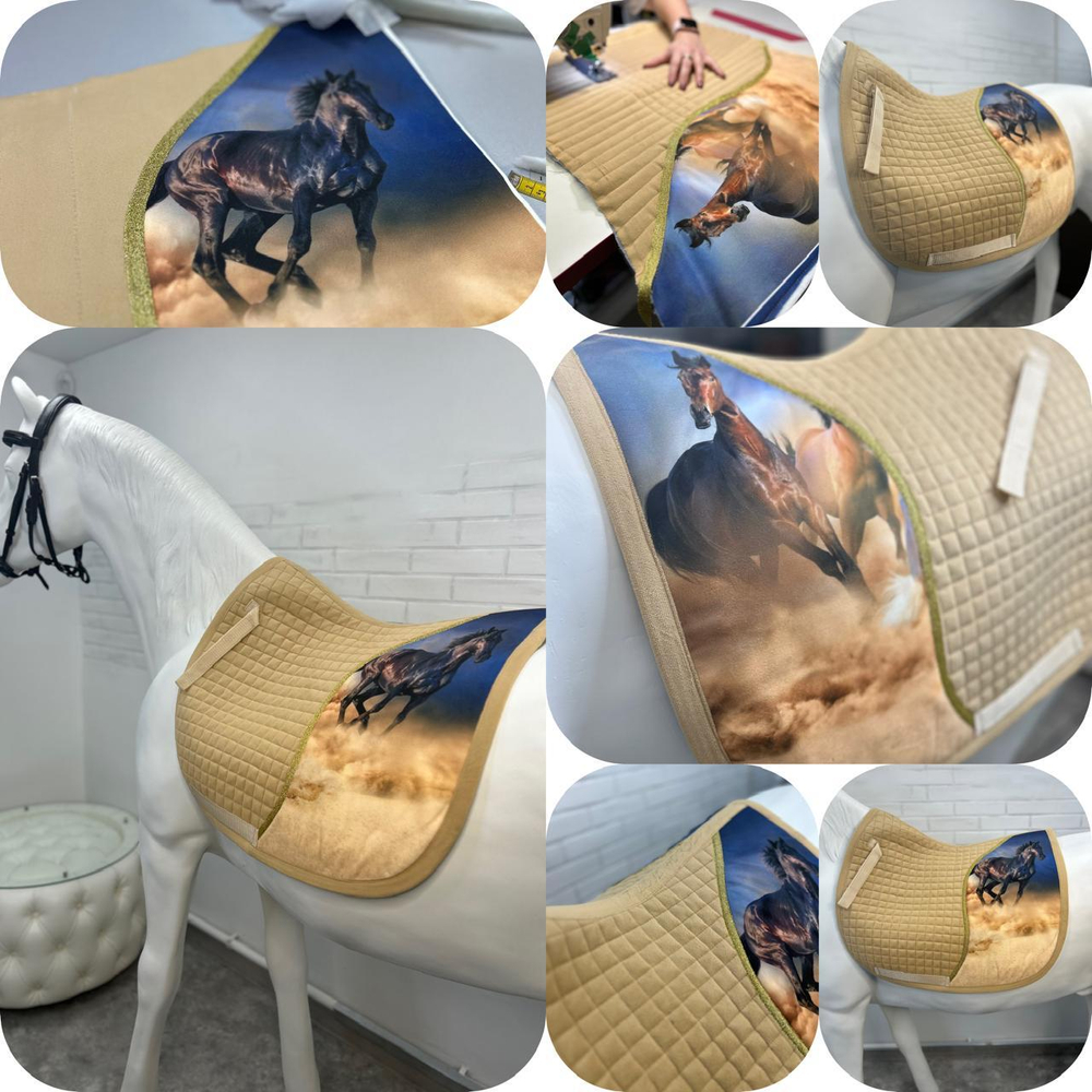 Одежда для конного спорта