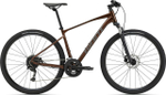 Городской велосипед Giant Roam Disc 2 (2022)