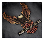 Толстовка Vintage Eagle Harley-Davidson