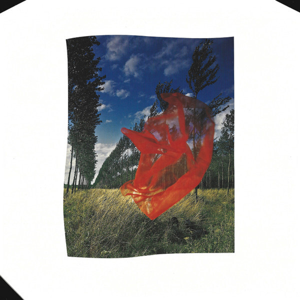 Pink Floyd / Wish You Were Here (LP)