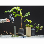 Подсвечник для 3 свечей из каменной керамики оливкового цвета из коллекции essential