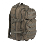 Рюкзак Small Mil-Tec Olive 20л