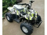 Электроквадроцикл Green Camel Гоби K50 (36V 800W R7 Цепной привод)