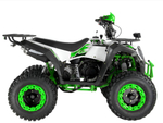Квадроцикл WELS Thunder Evo 200