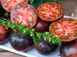 Бифштекс Марши (Marsha’s Starfighter Beefsteak) сорт томата
