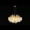 Подвесная люстра Aployt Aurora APL.845.03.13