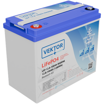 LFP 12.8-100 MARINE Smart BMS 100A (Bluetooth 4.0)