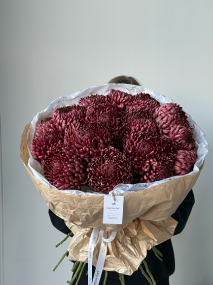 Моно букет из одноголовой хризантемы бигуди в бордовом оттенке