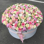 Микс шляпная коробка 49