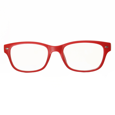 Очки готовые для работы за компьютером с полимерным футляром eComp 3065-19