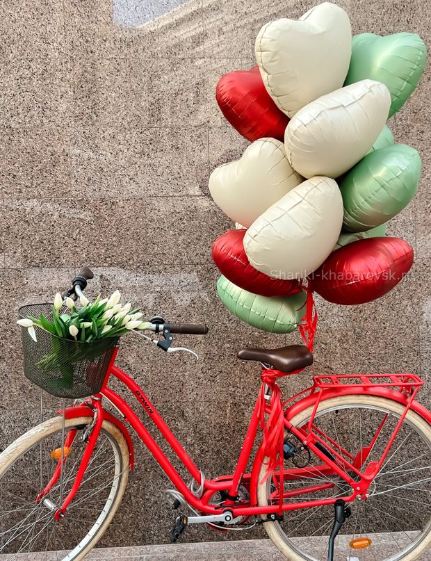 Воздушные шары №6300