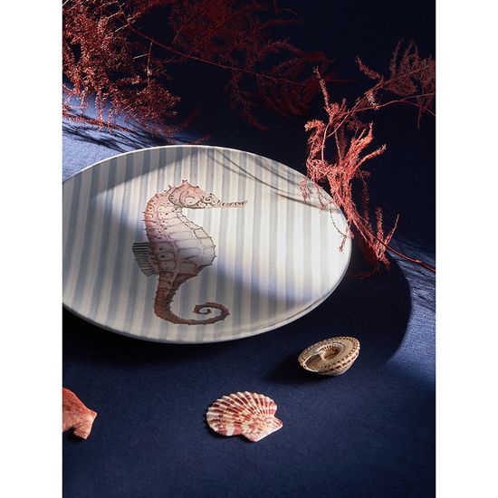 Набор из четырех тарелок aquarium из коллекции sea treasures, D21,5 см