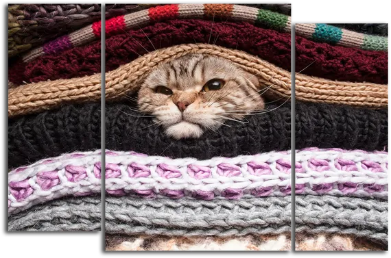 Модульная картина "Кот в тепле"