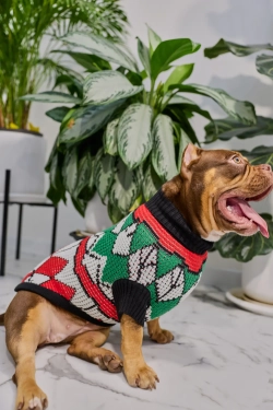 Для собачки