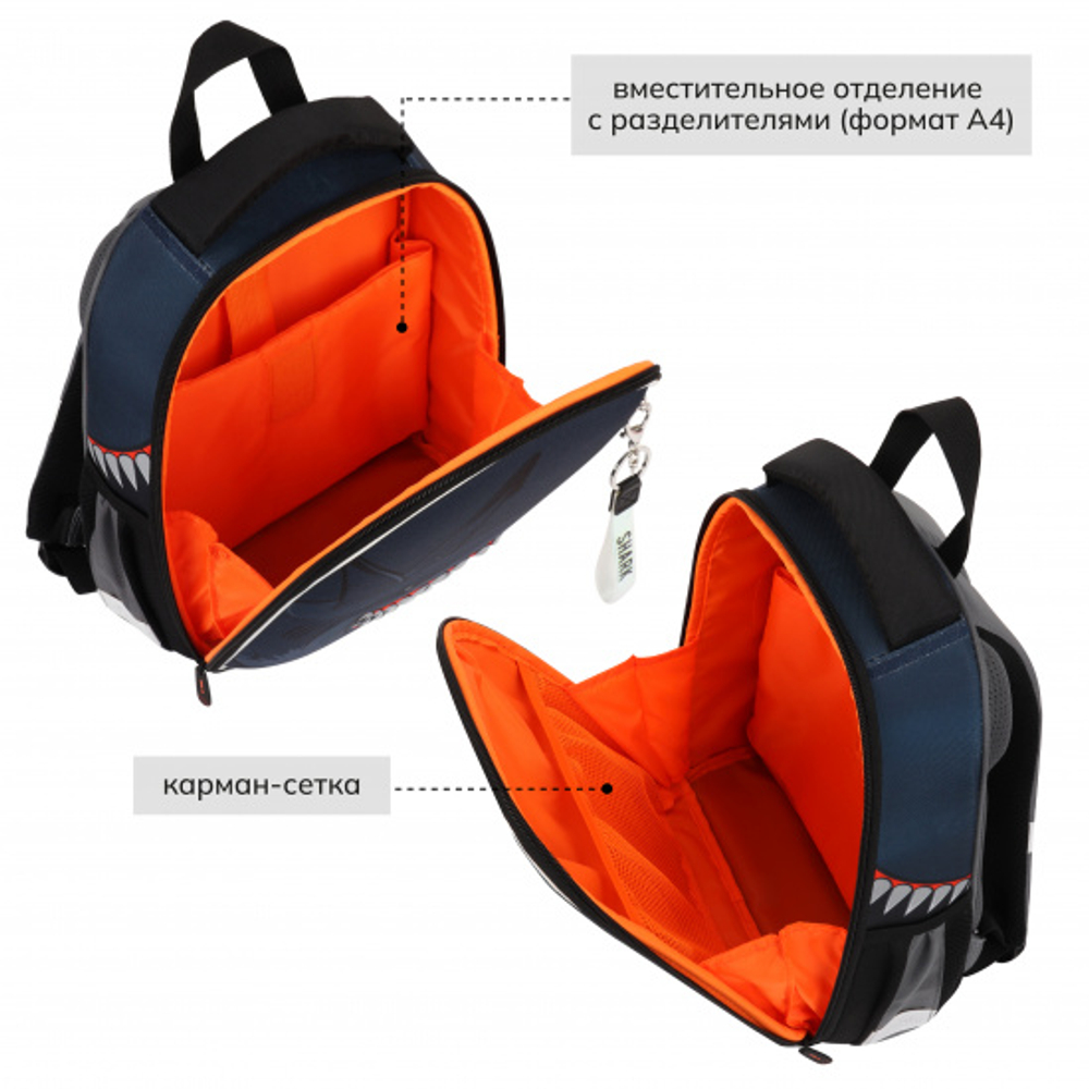 Ранец, спинка эргономичная, 1 отделение, 35*27*13 см, ERGO Light, Shark, КОКОС, 213970