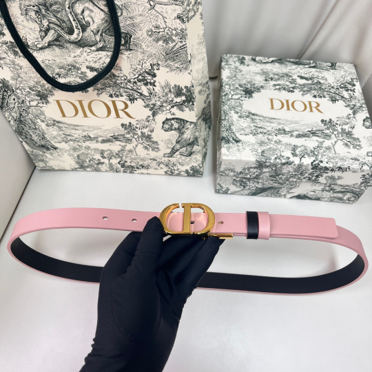 Christian Dior Reversible Belt
