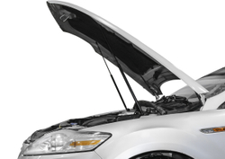 Упоры капота АвтоУпор для Ford Mondeo IV 2006-2015, 2 шт., UFDMON011
