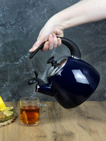 Чайник 2,5 л. эмалированный со свистком Kamille KM 1040D с черной бакелитовой ручкой