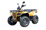 Квадроцикл IRBIS ATV200 PREMIUM 2024