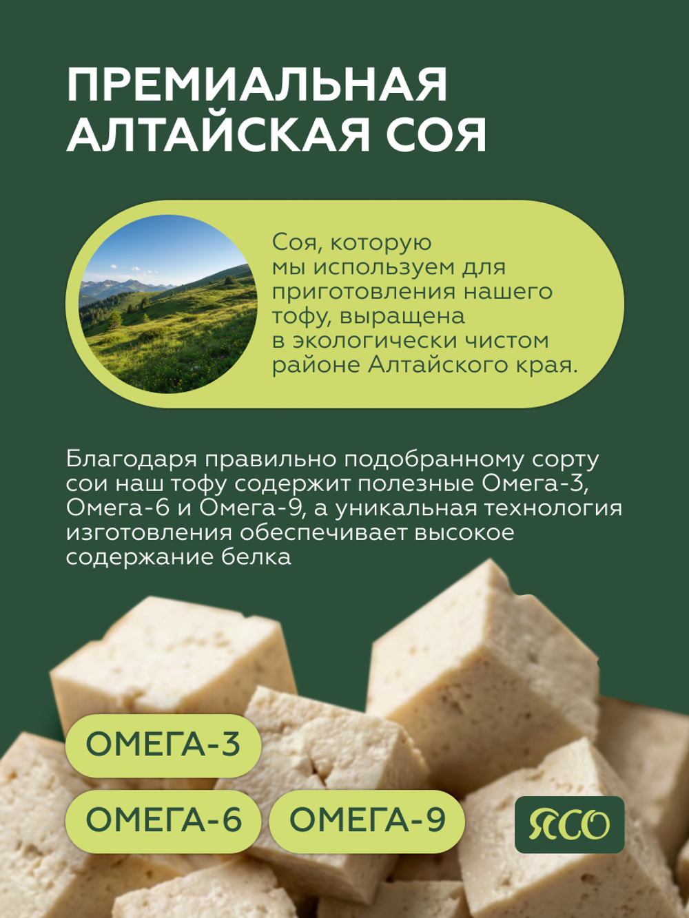 Тофу натуральный классический без добавок