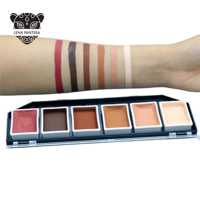 Палитра спиртовых красок 6 цветов по 8 грам "Тональная"