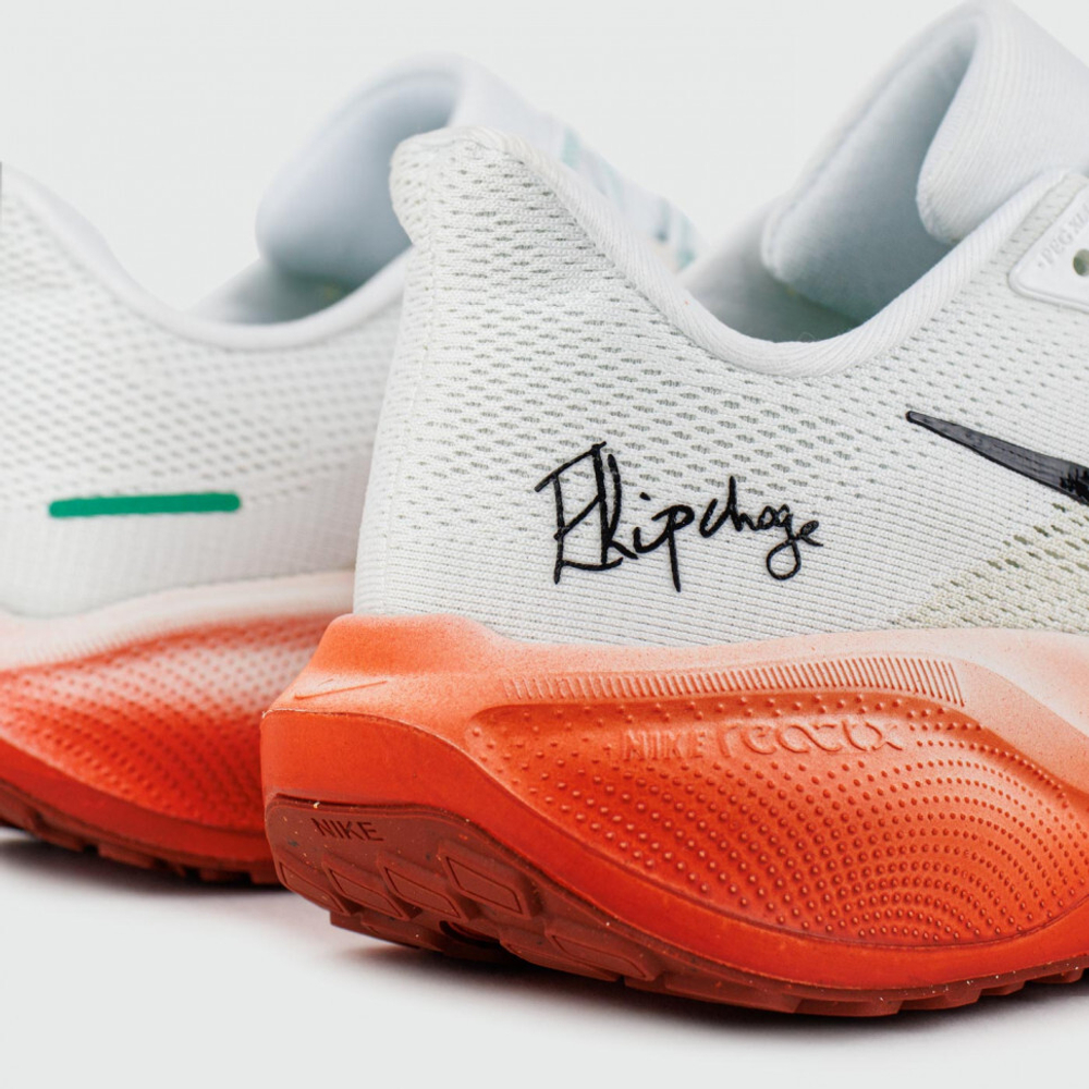 кроссовки Nike Air Zoom Pegasus 41 Eliud Kipchoge Wmns