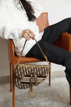 Christian Dior Saddle Bag 25 cm