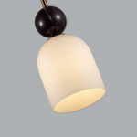 Подвесной светильник Odeon Light MIDCENT 4361/1B