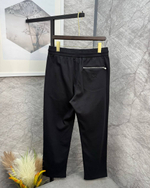 Штаны Loro Piana