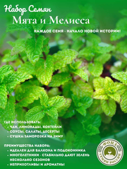Набор трав Мята, Мелисса, семена 0,14 гр. 2 пачки
