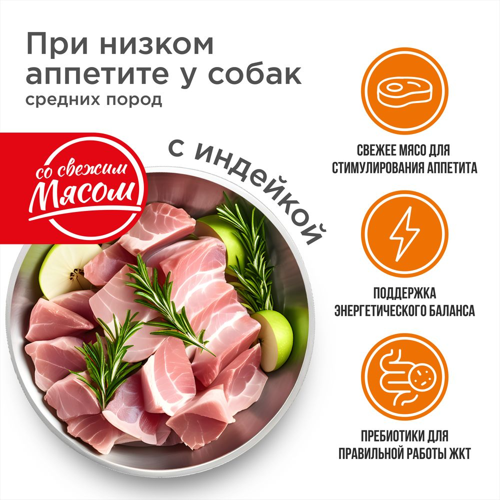 Корм сухой для взрослых собак средних пород, премиум полнорационный комплекс, низкий аппетит, с индейкой, 12 кг, QUATTRO