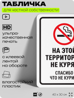 Табличка для частной территории "На этой территории не курят", на дом, для участка, для подъезда, организаций, предупреждающая, 40х30 см, Silver Plane x Айдентика Технолоджи