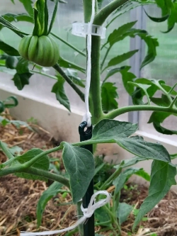 Колышки опора кустодержатель ограждение