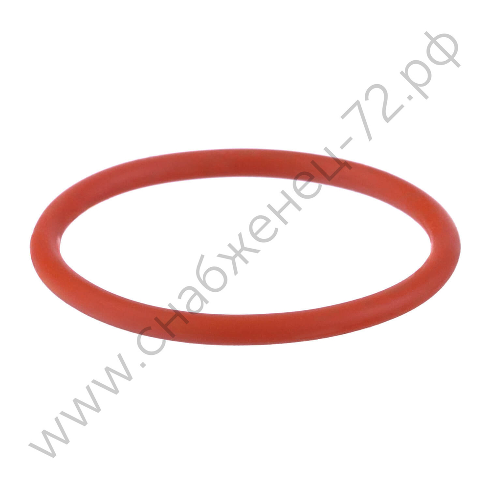 Кольцо уплотнительное IPT 100 NKS0002