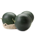 Баронеса F1 семена арбуза (Rijk Zwaan / Райк Цваан)