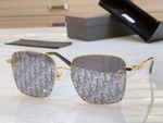 Christian Dior Glasses