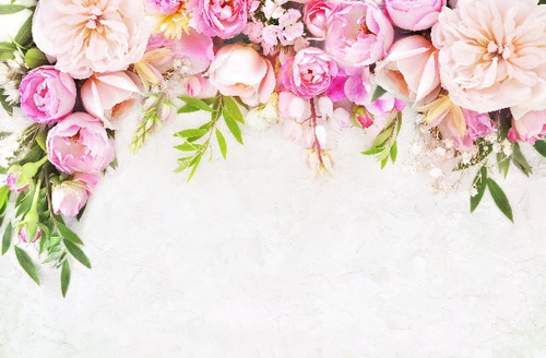 Дизайнерские №259 Фотообои и Фрески