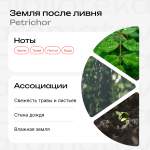 Земля после ливня