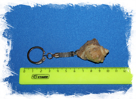 Брелок из ракушки Рапана