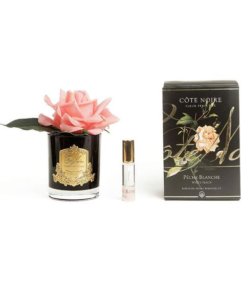 Коралловая роза ароматизированная в черной вазе, Cote Noire