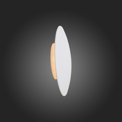 Настенный светильник ST-Luce SL457.501.01
