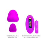 Лиловая вибровкладка в трусики Lisa с пультом ДУ (Цвет: лиловый)