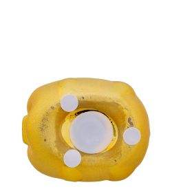 GP-02 Копилка «Золотая свинка - на удачу»