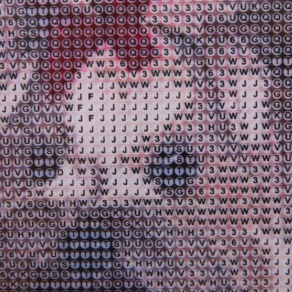 Алмазная мозаика на подрамнике с полным заполнением «МИР ЯРКИХ КРАСОК», пара йорк терьеров, 30*40см