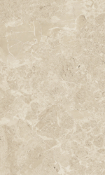 Saloni brown wall 01 v2 300х500 (1-й сорт)